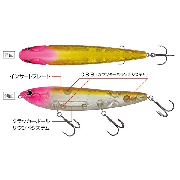 アマゾン　ボーンモデル